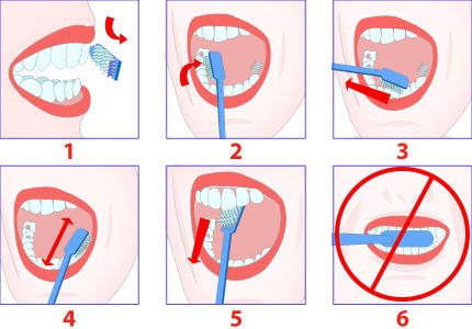 Comment se laver les dents