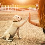 Avoir un chien, c’est bon pour la santé !