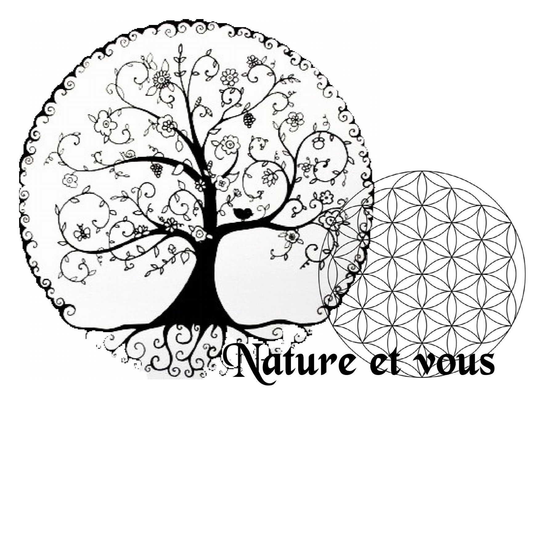 Gaëlle  Lecacheur : Naturopathe au 2 Rue du Dr Auguste Guilmin, 44210 Pornic, France