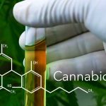 Le Cannabidiol (CBD), usage thérapeutique du cannabis !