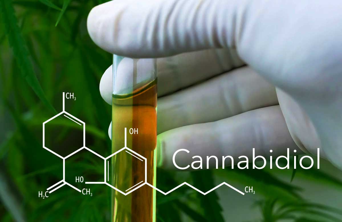 Le Cannabidiol (CBD), usage thérapeutique du cannabis !