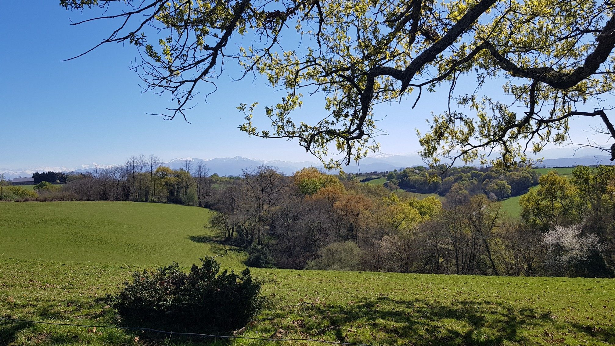 Anaëlle COURTIGNON: Ostéopathe au 2 Route d\'Azun, 65400 Aucun, France